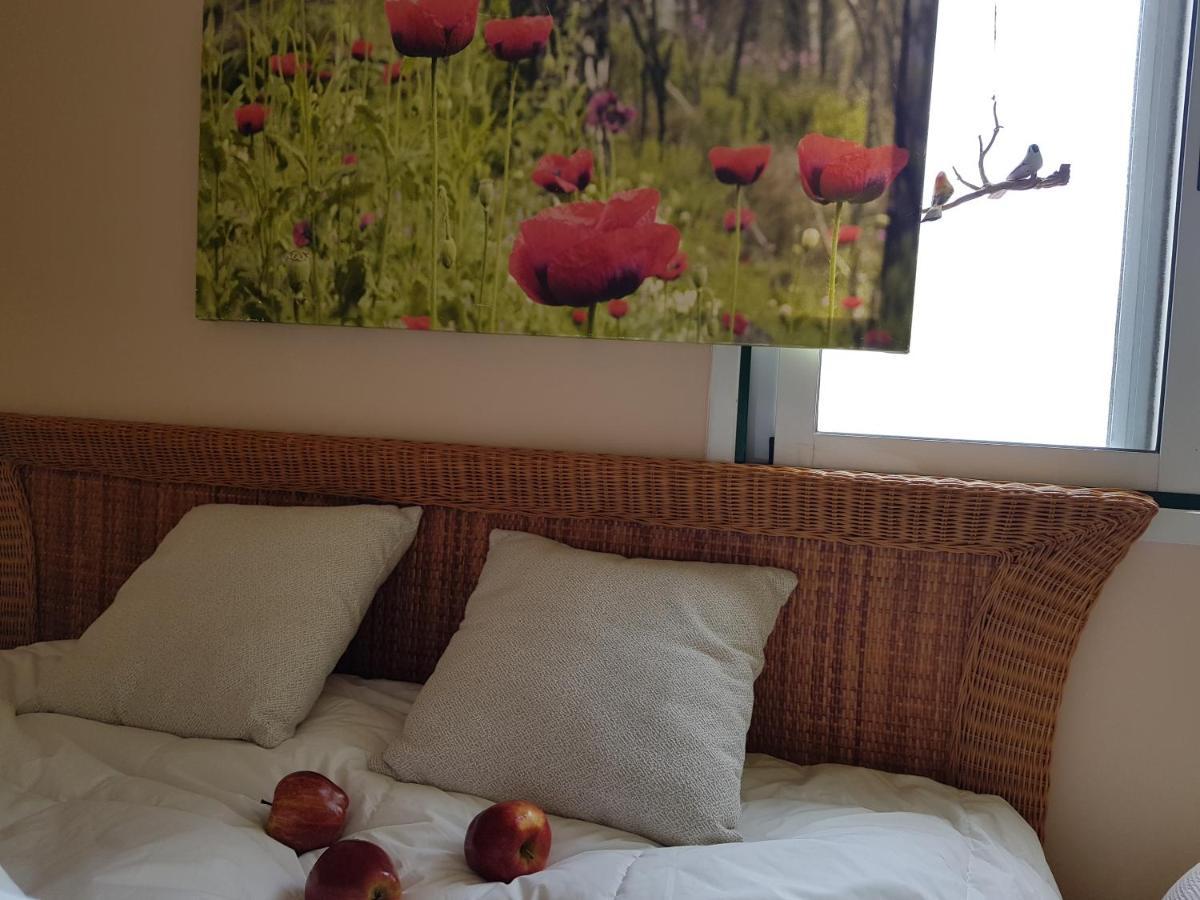 The Poppies Guest House - 100M Ocean - Private Spaces Candelaria Exterior photo