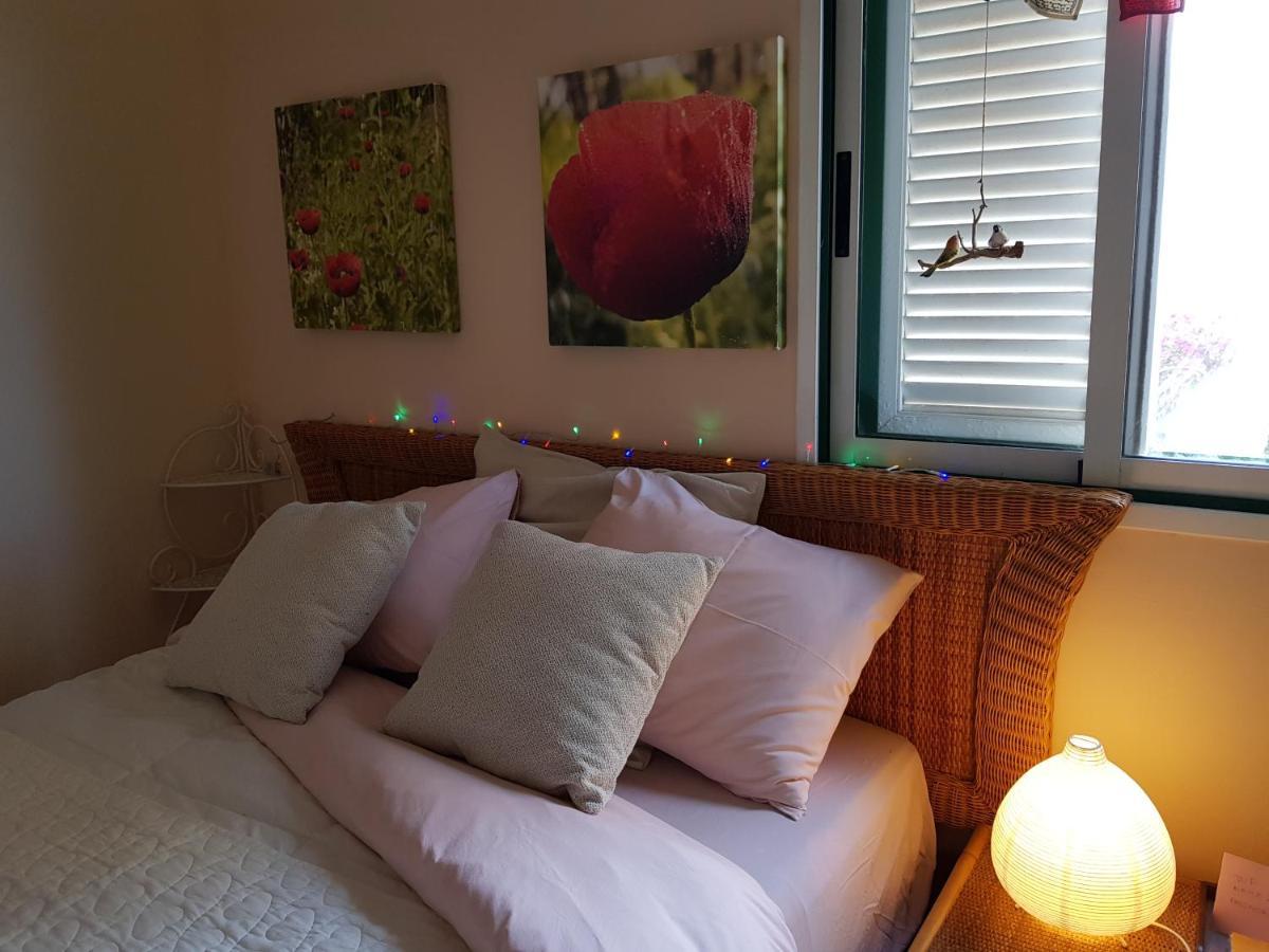 The Poppies Guest House - 100M Ocean - Private Spaces Candelaria Exterior photo