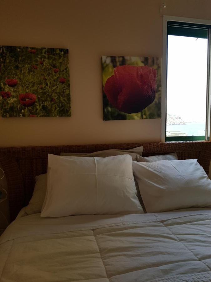 The Poppies Guest House - 100M Ocean - Private Spaces Candelaria Exterior photo